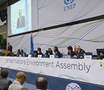 U.N. Environment Talks Pressed on Gender-Sensitive Global Economic Plan